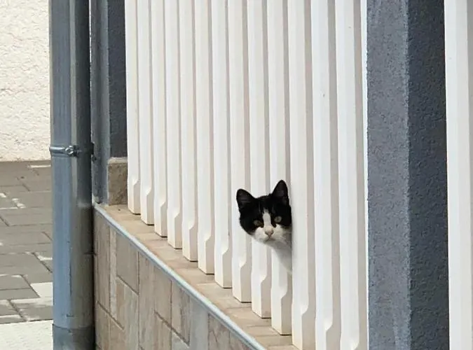 Vakantiehuis Longer Life Stone House Puticanje